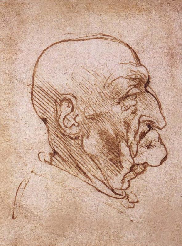 LEONARDO da Vinci Profile of an old man France oil painting art